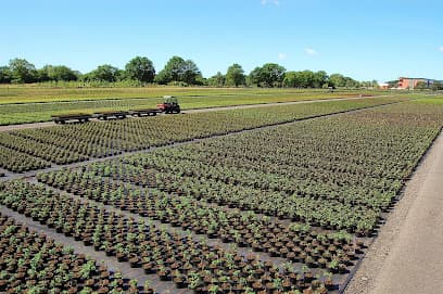 Hans Reinke Baumschulen